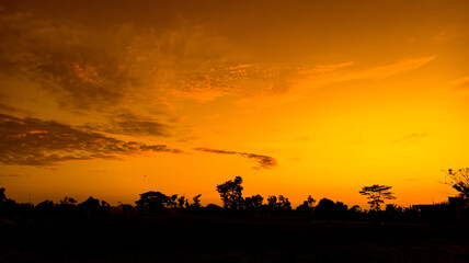 Natural scenery of orange sky in the afternoon. Silhouette of trees against orange sky background...