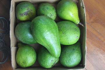 many groups of avocados in a cardboard box