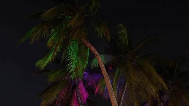 Night, Party, Outdoors, Wedding, Luxury, Decorations, Beach View, People , Palm trees