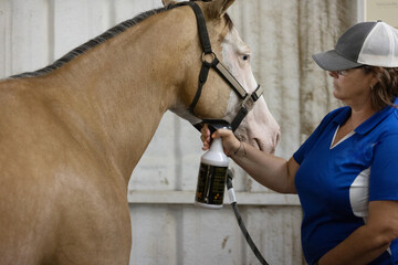 Equine horse fly spray