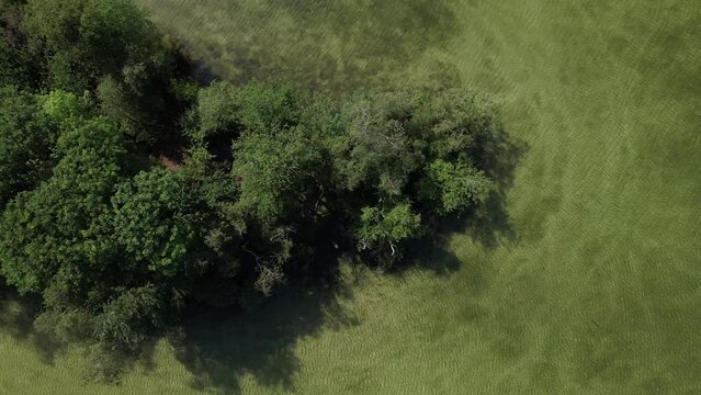 Top down aerial view of island in Dutch excavation lake with clear transparent water and beach part brightly lit under the surface