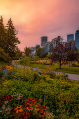 Obraz premium Sunrise Over A Downtown Calgary Summer Park