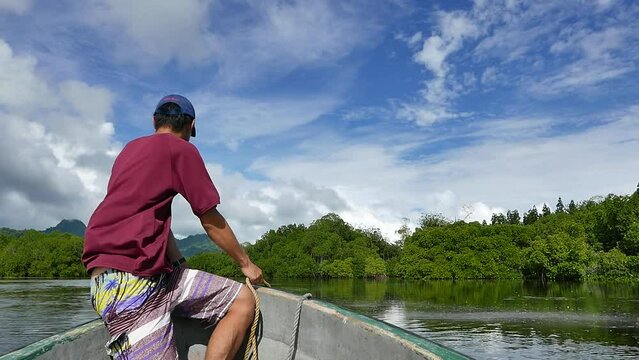 Yela Valley Ka Forest at Kosrae, Federated States of Micronesia.