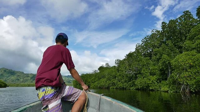 Yela Valley Ka Forest at Kosrae, Federated States of Micronesia.