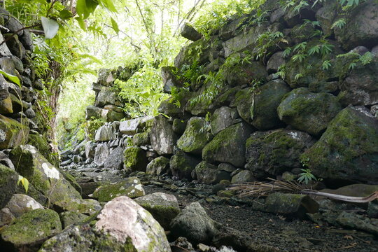 รูปภาพTofol เลือกดูภาพถ่ายสต็อก เวกเตอร์ และวิดีโอ170 Adobe Stock