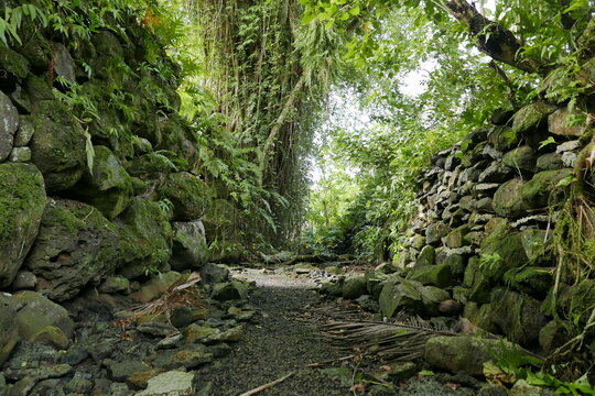 Lelu Ruins Historic Park at Kosrae, Federated States of Micronesia.