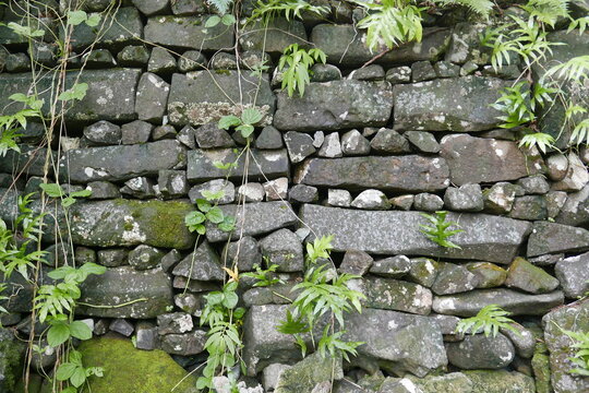 Lelu Ruins Historic Park at Kosrae, Federated States of Micronesia.