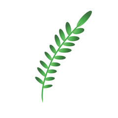 green leaves isolated on white background