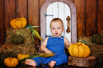 A little boy sitting on the wooden floor of the studio next to a textile pumpkin and hay. Bright children's autumn emotions.