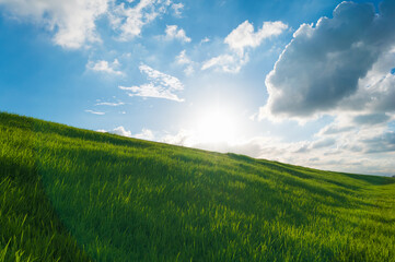 The vast meadow under the blue sky and white clouds