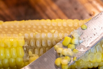 Using a knife to remove kernels from the cob of an ear of sweet corn.