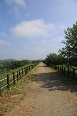 wetland site in korea