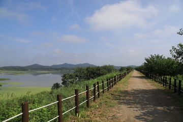 Fototapeta na wymiar wetland site in korea