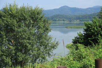 Fototapeta premium wetland site in korea