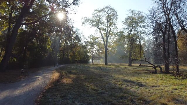 Mother and child walking in the autumn park on sunny morning. Father and child walk along dirt path in the fall park in the early morning. People walking along the path in the park. Aerial drone view