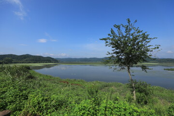 wetland site in korea