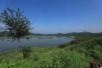 wetland site in korea