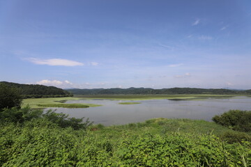 wetland site in korea