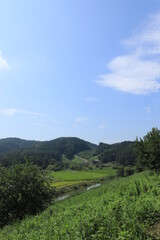 wetland site in korea