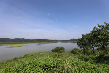 Obraz premium wetland site in korea