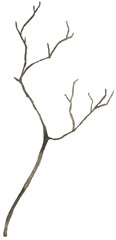 Watercolor brown branch twig illustration