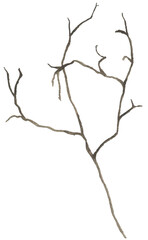 Watercolor brown branch twig illustration