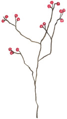 Watercolor brown branch twig with berry illustration