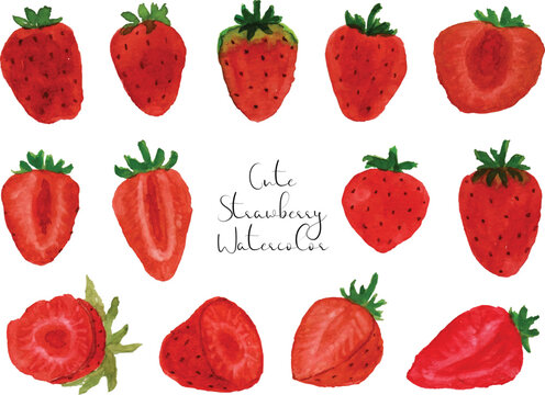 a set of hand painted fresh red strawberry watercolor