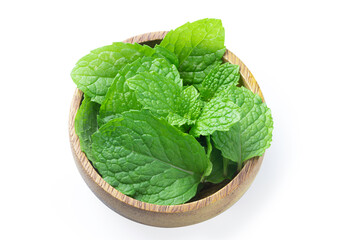 Fresh paper mint on wooden plate with clipping path.