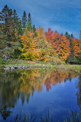 Fall colors reflected in a still pond