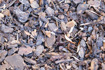 Tree bark mulch texture, outdoor, background, chestnut wood chips for ground bedding in the garden, shredded pine crust, pattern, mulching.