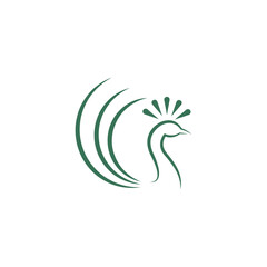 Peacock icon logo design