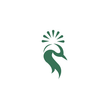 Peacock icon logo design