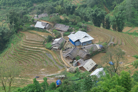 Natural Mountain rice filed, Vietnam 2017.