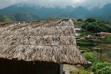Natural Mountain rice filed, Vietnam 2017.