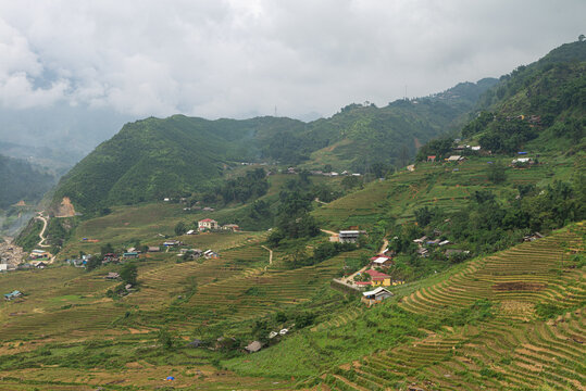 Natural Mountain rice filed, Vietnam 2017.