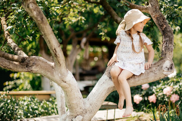 Fototapeta premium Small girl climb tree in summer garden, activity. Little girl on tree branch, childhood. Vacation, activity, lifestyle. Kid fashion, style, beauty Childhood youth growth