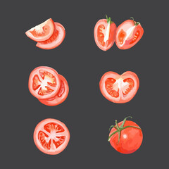 Tomatoes set. Hand drawn watercolor vector illustration