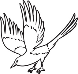 Magpie cartoon icon. Wild flying bird outline comic style image. Hand drawn isolated lineart image for prints, designs, cards. Web and mobile clipart
