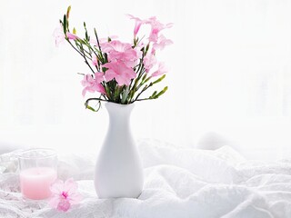 Pink flowers in vase on table Ruellia tuberosa flowering plant ,minnieroot ,fever root ,snapdragon root ,sheep potato ,Ruellia humilis, Mexican petunia ,Britton's wild petunia ,Aphelandra simplex 