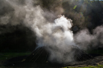 Traditional way of charcoal production in a forest - 527504484