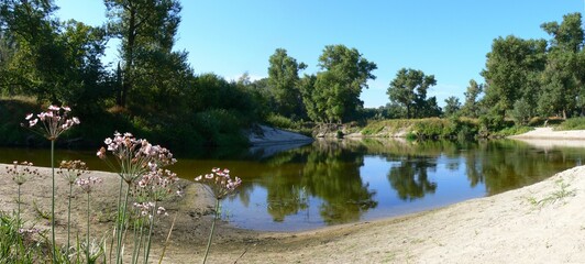 Summer landscape with a river, trees and a cloudless blue sky.Panorama....