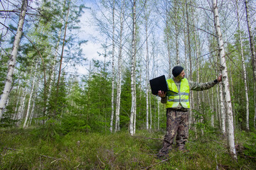 Forest engineer works in the forest with a computer. The forester inspects forest plantations.