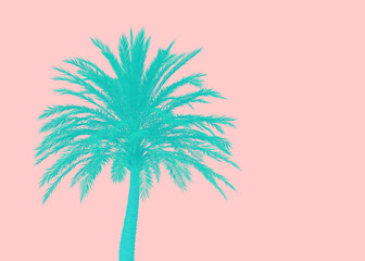 Fototapeta na wymiar 3D Teal palm tree