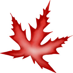 Maple leaf watercolour