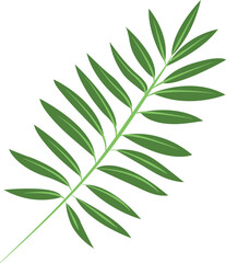 Fototapeta na wymiar leaf isolated