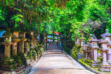 春日大社の参道 奈良県 日本