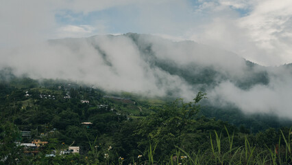 fog in the mountains