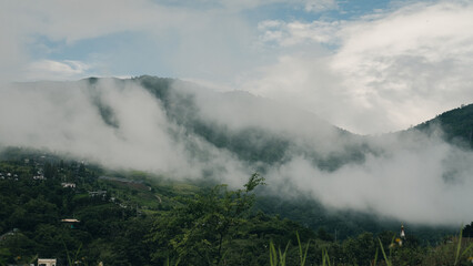 fog in mountains