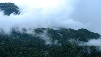 fog in the mountains